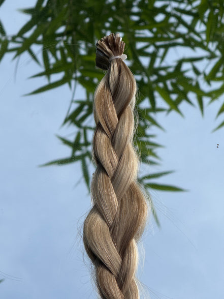 14" Dimensional Straight K-Tips